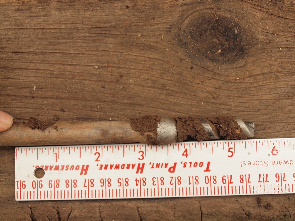 Brown probe removed from soil next to inches scale to show depth of moist soil