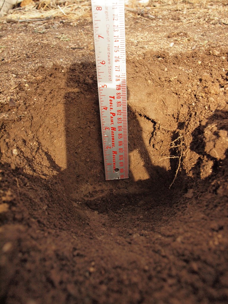 Meter stick in hole showing corroboration with Brown probe moist soil depth determination